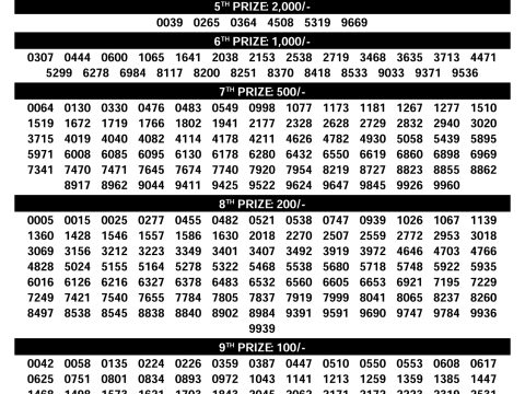 Rajshree Lottery Result Today