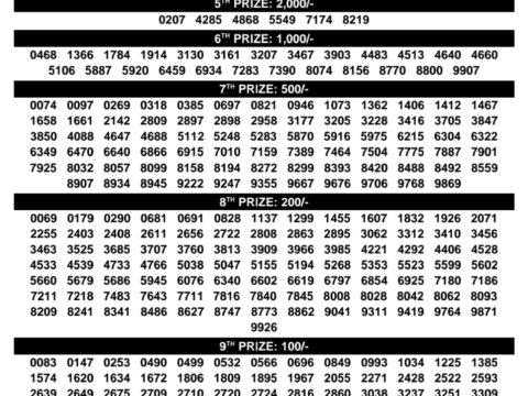 Rajshree Lottery Result Today