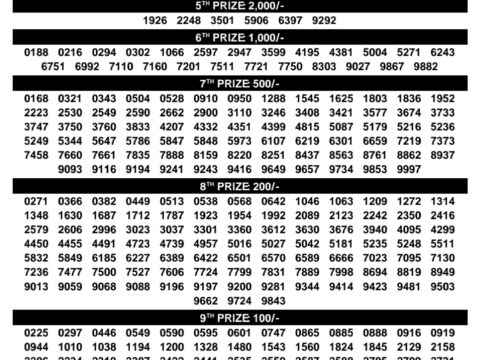 Rajshree Lottery Result Today