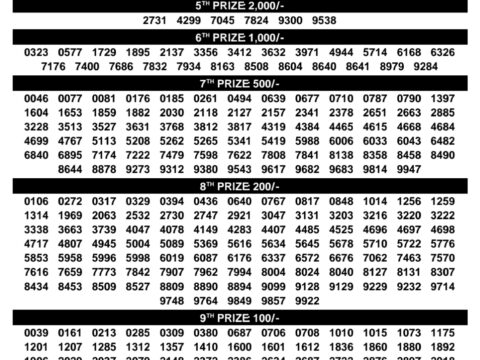 Rajshree Lottery Result Today