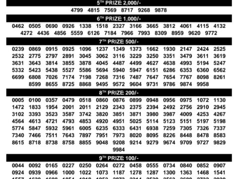 Rajshree Lottery Result Today