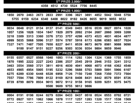 Rajshree Lottery Result Today