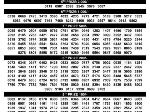Rajshree Lottery Result Today