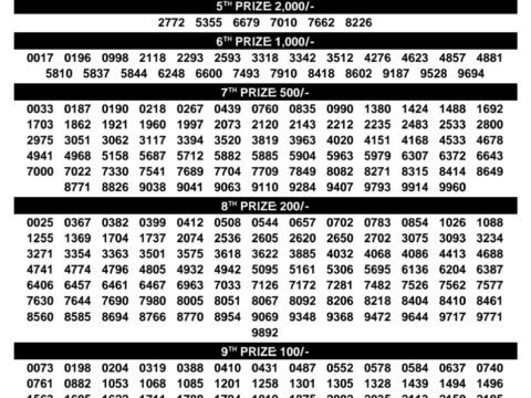 Rajshree Lottery Result Today