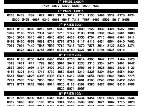 Rajshree Lottery Result Today
