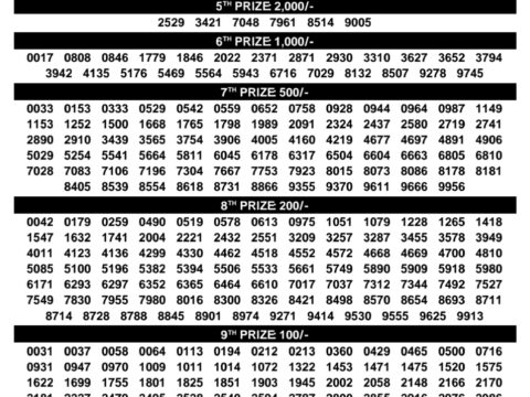 Sthree Sakthi SS-503 Kerala Lottery Result Today 3PM Rajshree Lottery Result Today