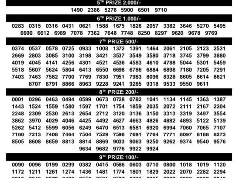 Rajshree Lottery Result Today
