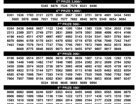 Rajshree Lottery Result Today