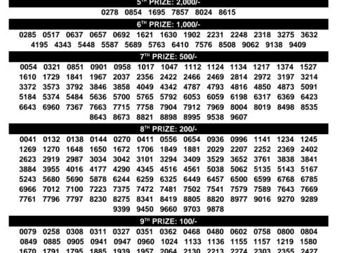 Rajshree Lottery Result Today