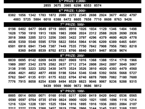 Rajshree Lottery Result Today