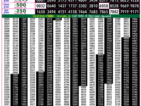 Rajshree Lottery Result Today