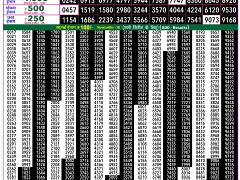 Rajshree Lottery Result Today