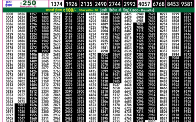 Rajshree 50 Shani Weekly Lottery 7.30pm Result 17 January 2026