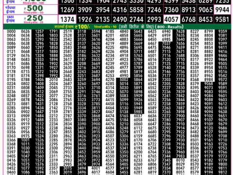 Rajshree Lottery Result Today