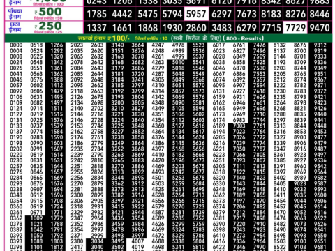 Rajshree Lottery Result Today