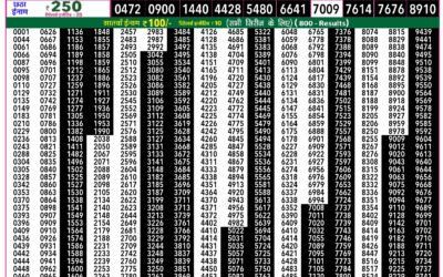 Rajshree 50 Shani Weekly Lottery 7.30pm Result 24 January 2026