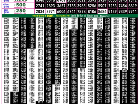 Rajshree Lottery Result Today