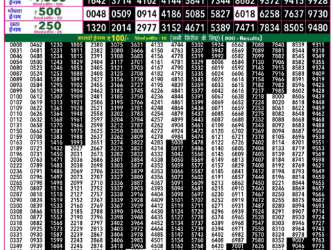 Rajshree Lottery Result Today