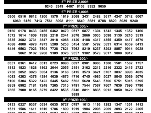 Rajshree Lottery Result Today