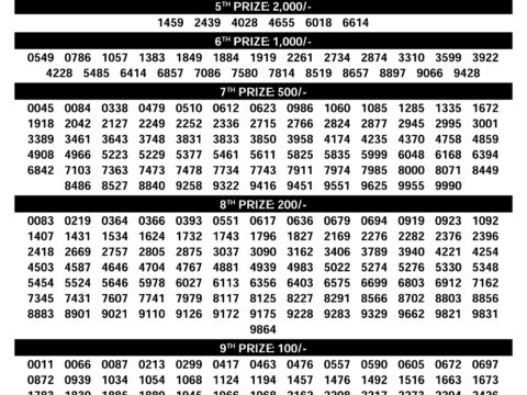 Rajshree Lottery Result Today