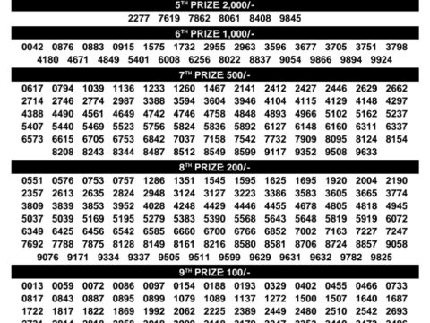 Rajshree Lottery Result Today