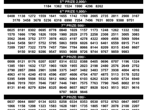 Rajshree Lottery Result Today