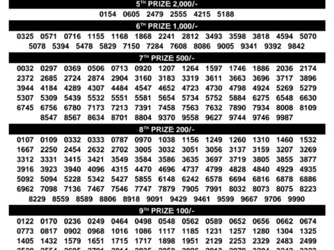 Rajshree Lottery Result Today