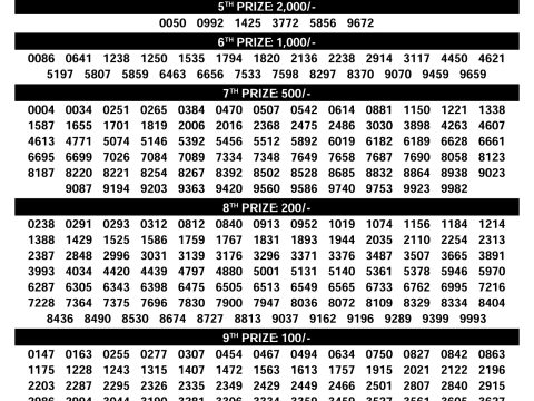 Rajshree Lottery Result Today