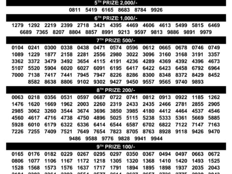 Rajshree Lottery Result Today