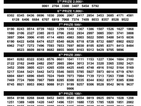 Rajshree Lottery Result Today