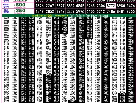 Rajshree Lottery Result Today