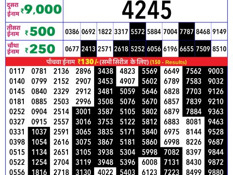 Rajshree Lottery Result Today