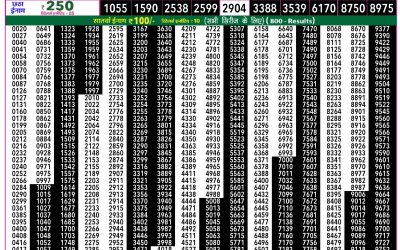 Rajshree 50 Mangal Weekly Lottery 7.30pm Result 24 February 2026
