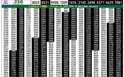 Rajshree 50 Budh Weekly Lottery 7:30pm Result 25 February 2026