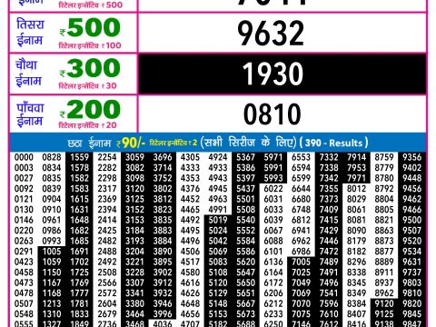 Rajshree Lottery Result Today