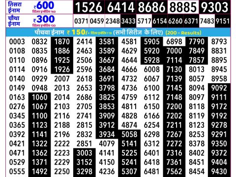 Rajshree Lottery Result Today