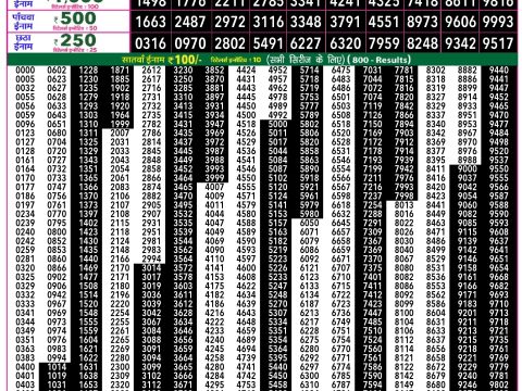 Rajshree Lottery Result Today