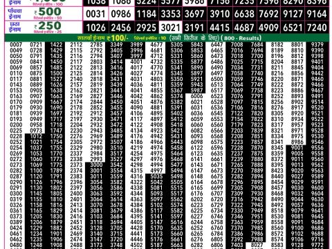Rajshree Lottery Result Today