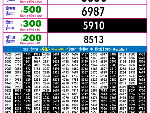 Rajshree Lottery Result Today