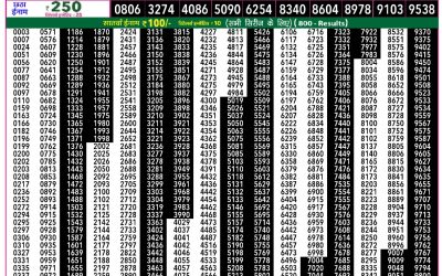 Rajshree 50 Ravi Weekly Lottery 7:30pm Result 01 February 2026
