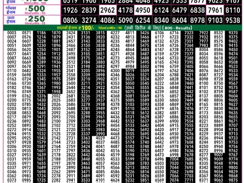 Rajshree Lottery Result Today