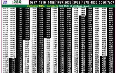 Rajshree 50 Ravi Weekly Lottery 7:30pm Result 15 February 2026