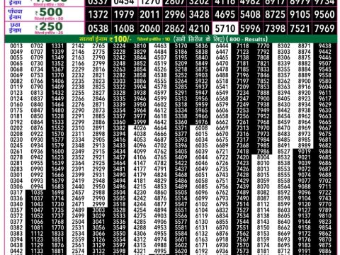 Rajshree Lottery Result Today
