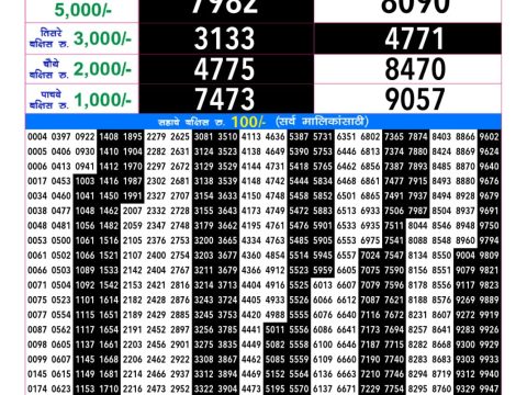 Rajshree Lottery Result Today