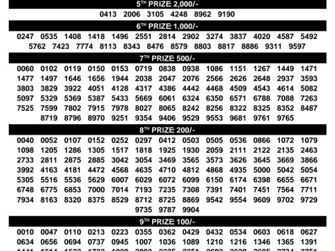 Rajshree Lottery Result Today