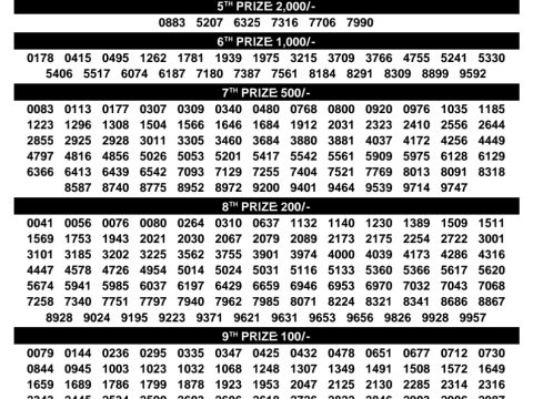 Sthree Sakthi SS-505 Kerala Lottery Result Today 3PM Rajshree Lottery Result Today