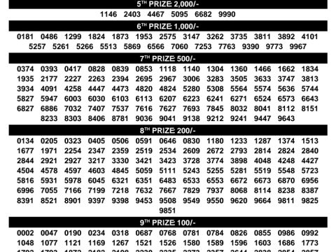 Rajshree Lottery Result Today