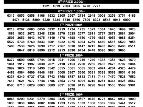 Rajshree Lottery Result Today