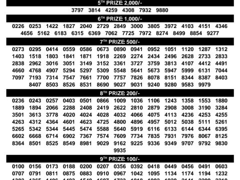 Rajshree Lottery Result Today