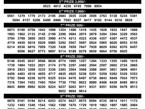 Rajshree Lottery Result Today